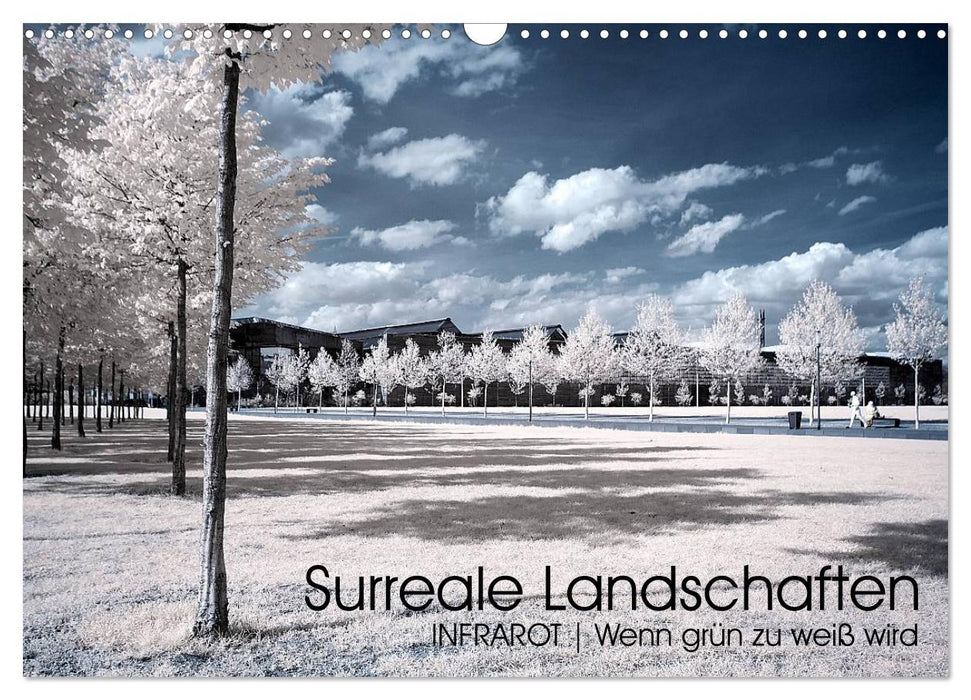 Surreale Landschaften. INFRARROT - Wenn grün zu weiß wird (CALVENDO Wandkalender 2025)