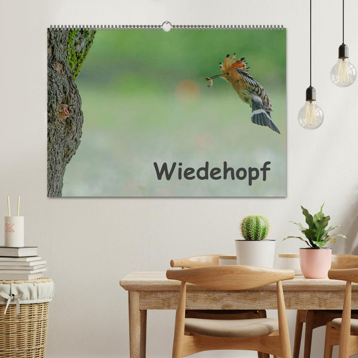 Wiedehopf (CALVENDO Wandkalender 2025)