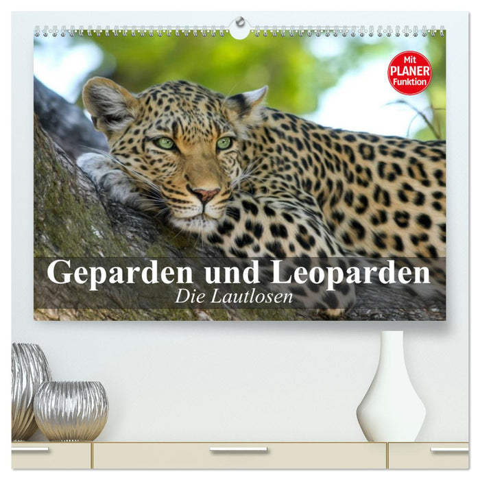 Die Lautlosen. Geparden und Leoparden (CALVENDO Premium Wandkalender 2025)