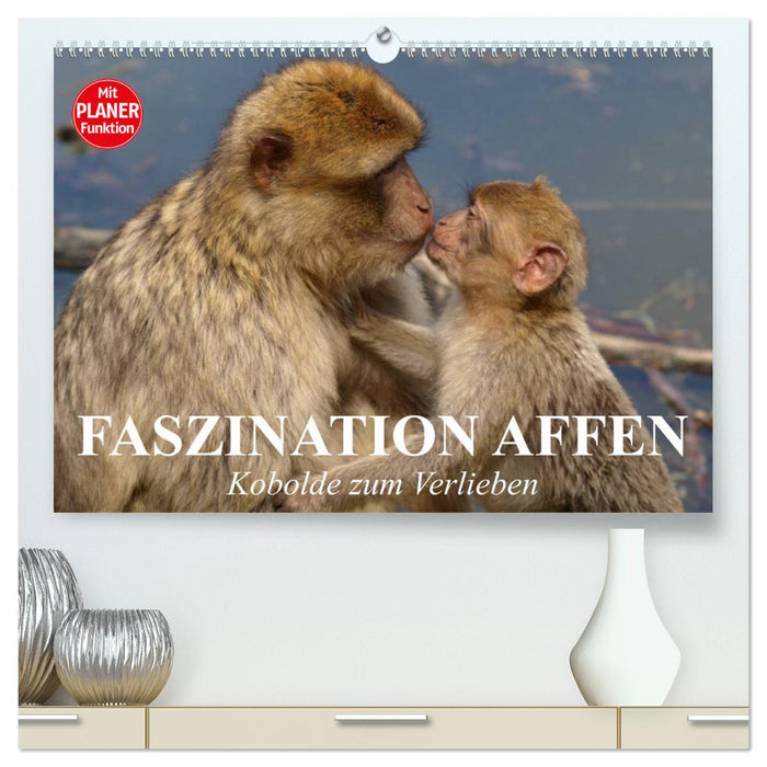 Faszination Affen. Kobolde zum Verlieben (CALVENDO Premium Wandkalender 2025)