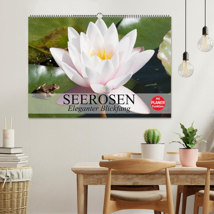 Seerosen. Eleganter Blickfang (CALVENDO Wandkalender 2025)