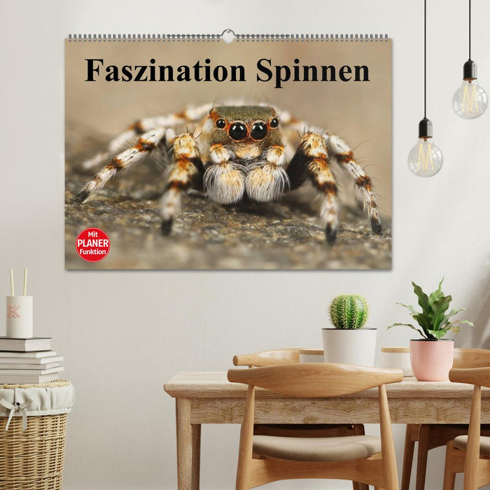 Faszination Spinnen (CALVENDO Wandkalender 2025)