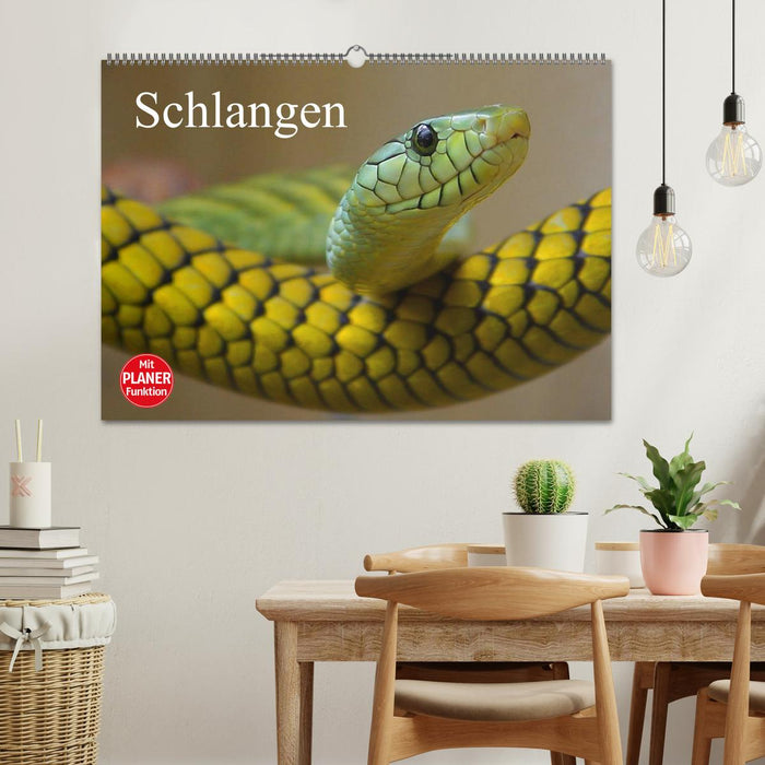 Schlangen (CALVENDO Wandkalender 2025)