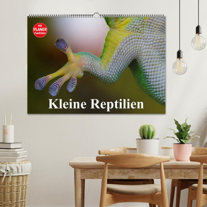 Kleine Reptilien (CALVENDO Wandkalender 2025)