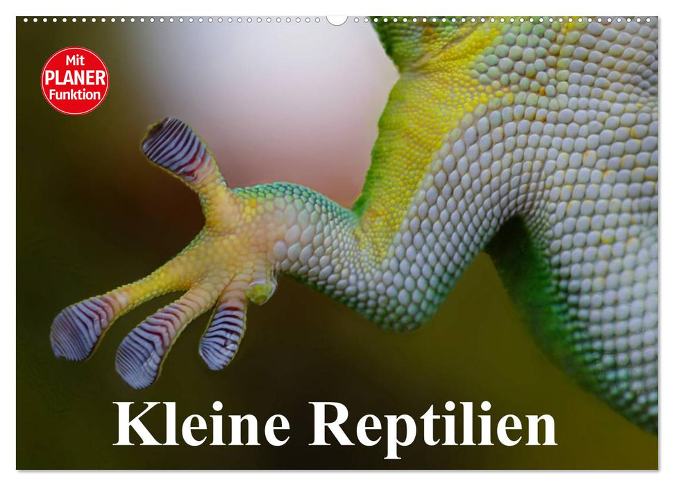 Kleine Reptilien (CALVENDO Wandkalender 2025)