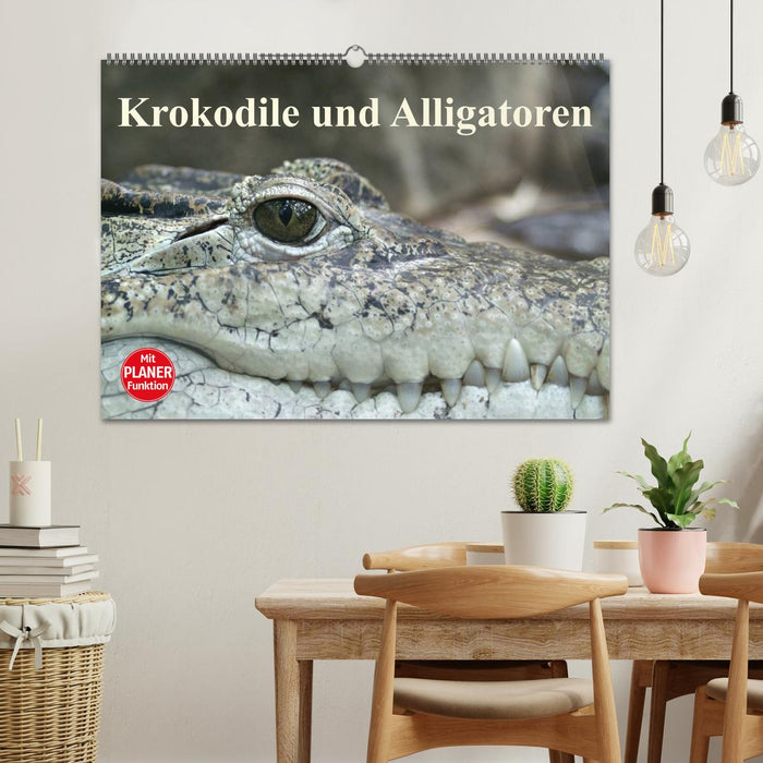 Krokodile und Alligatoren (CALVENDO Wandkalender 2025)