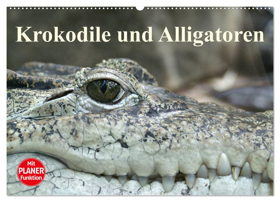 Krokodile und Alligatoren (CALVENDO Wandkalender 2025)