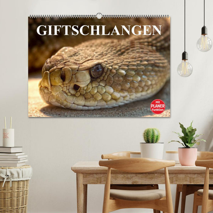 Giftschlangen (CALVENDO Wandkalender 2025)