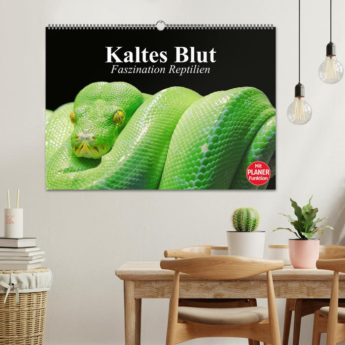 Kaltes Blut. Faszination Reptilien (CALVENDO Wandkalender 2025)