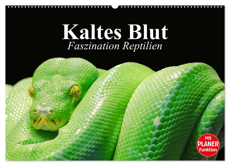 Kaltes Blut. Faszination Reptilien (CALVENDO Wandkalender 2025)