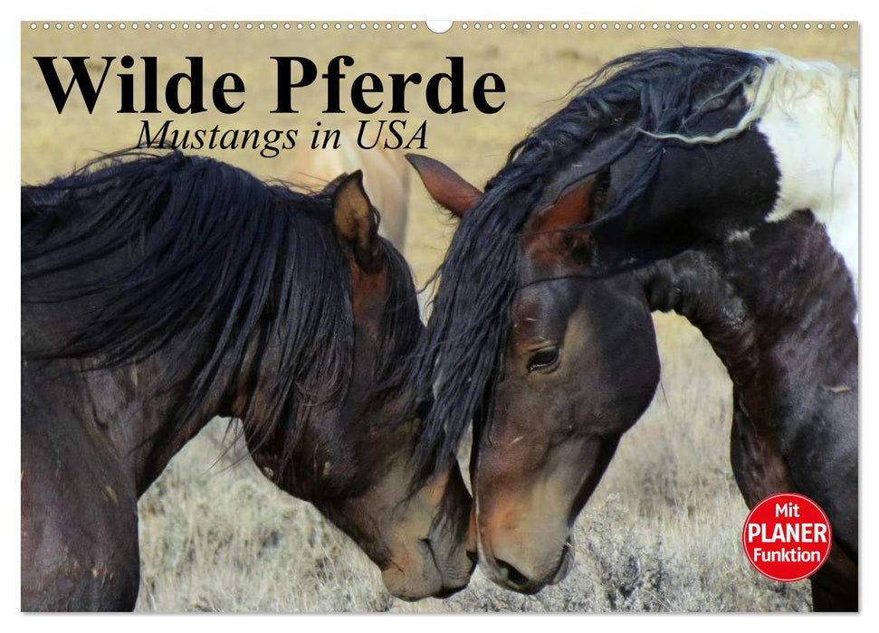 Wilde Pferde. Mustangs in USA (CALVENDO Wandkalender 2025)