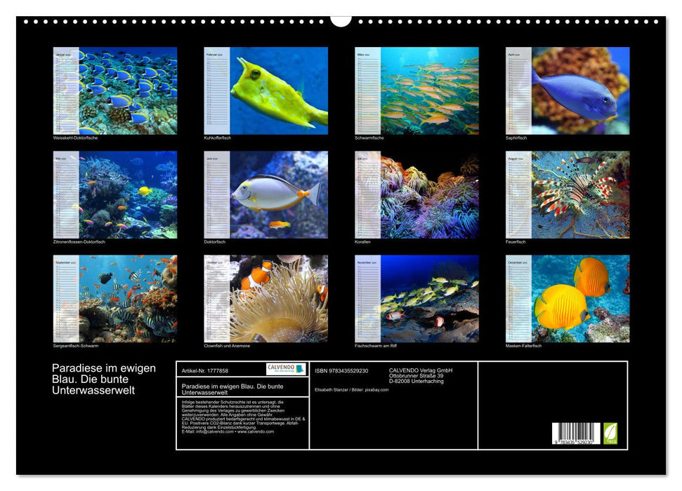 Paradiese im ewigen Blau. Die bunte Unterwasserwelt (CALVENDO Wandkalender 2025)