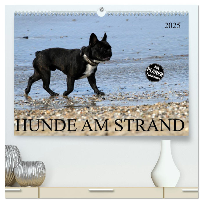 HUNDE AM STRAND (CALVENDO Premium Wandkalender 2025)