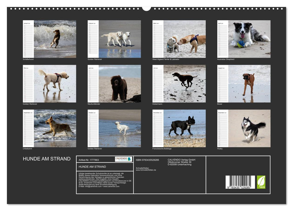 HUNDE AM STRAND (CALVENDO Premium Wandkalender 2025)