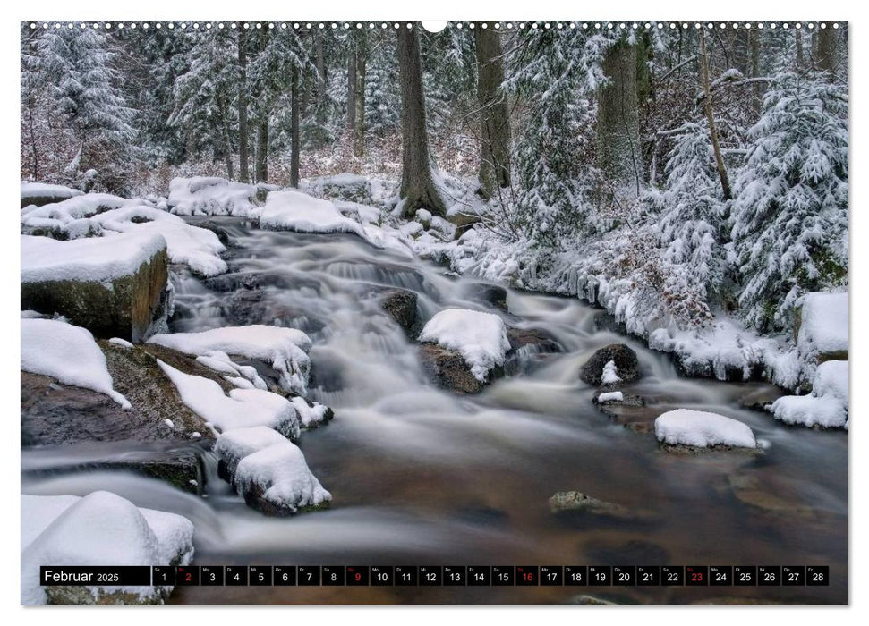 Der Harz - Sagenumwoben und Wildromantisch (CALVENDO Premium Wandkalender 2025)