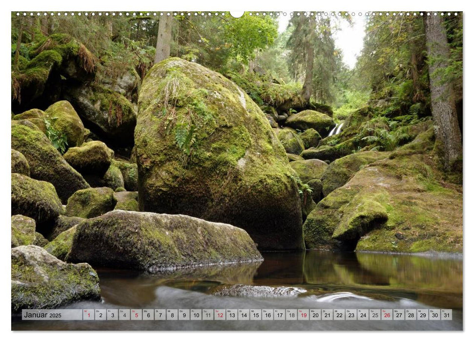 Südschwarzwald - Impressionen (CALVENDO Premium Wandkalender 2025)