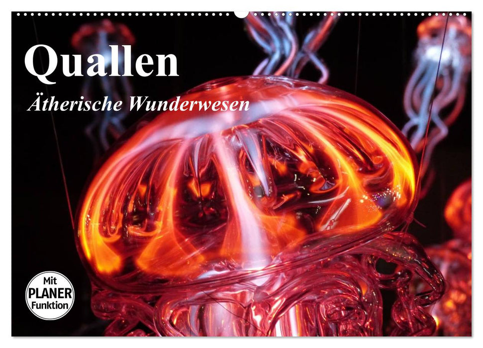 Quallen. Ätherische Wunderwesen (CALVENDO Wandkalender 2025)