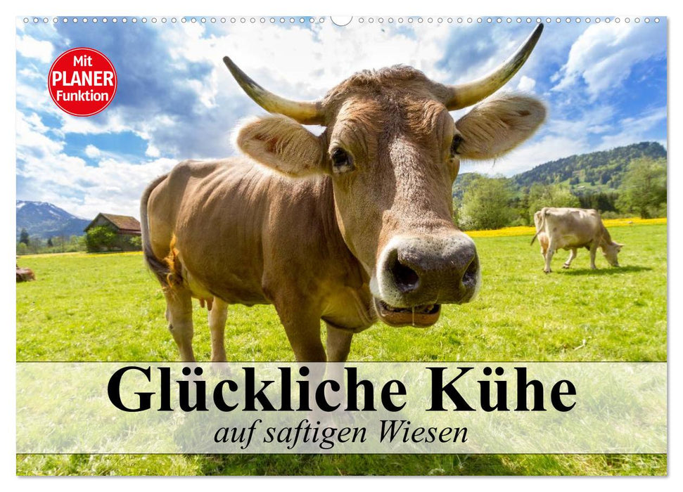 Glückliche Kühe auf saftigen Wiesen (CALVENDO Wandkalender 2025)