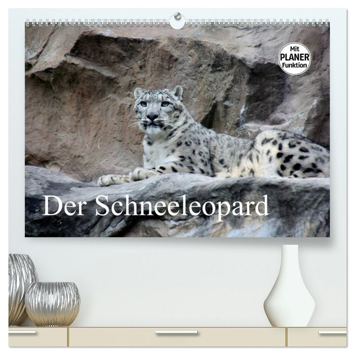 Der Schneeleopard (CALVENDO Premium Wandkalender 2025)