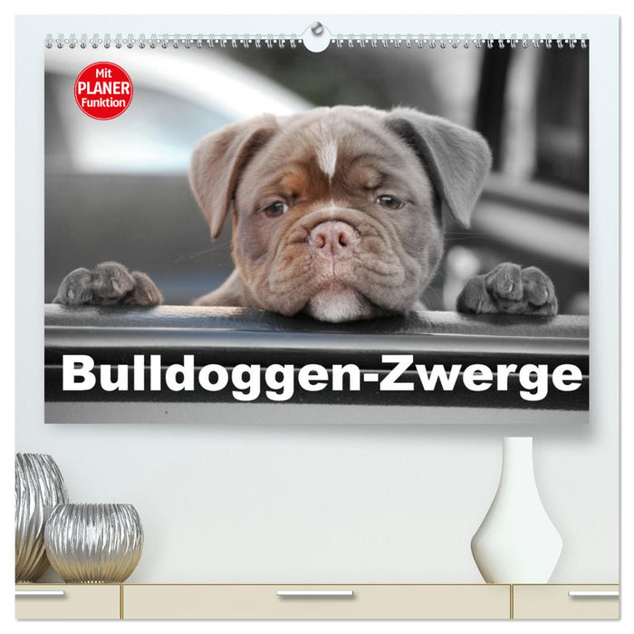 Bulldoggen-Zwerge (CALVENDO Premium Wandkalender 2025)