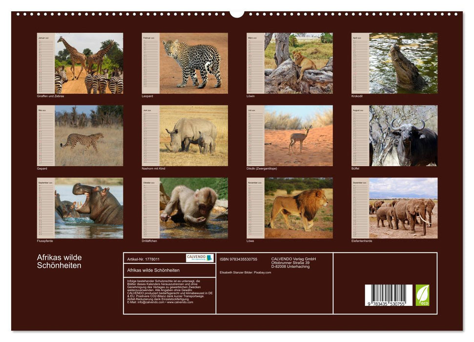 Afrikas wilde Schönheiten (CALVENDO Premium Wandkalender 2025)