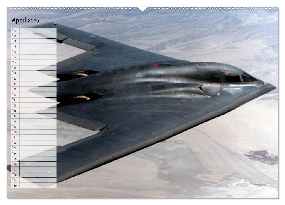 Luftwaffe. Kampfflugzeuge der USA (CALVENDO Premium Wandkalender 2025)