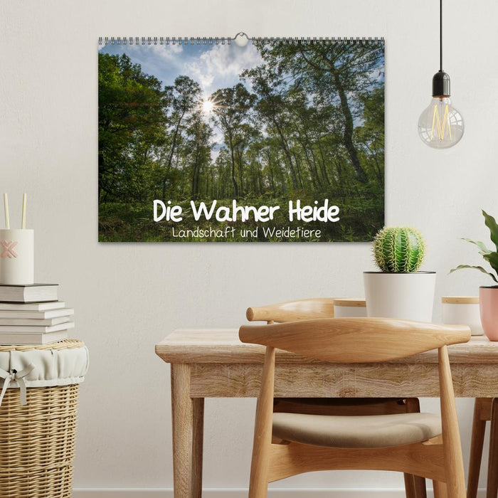 Die Wahner Heide - Landschaft und Weidetiere (CALVENDO Wandkalender 2025)