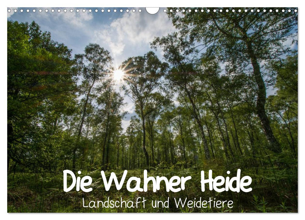 Die Wahner Heide - Landschaft und Weidetiere (CALVENDO Wandkalender 2025)