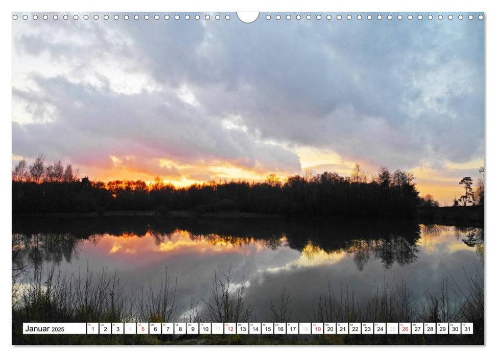 Die Wahner Heide - Landschaft und Weidetiere (CALVENDO Wandkalender 2025)