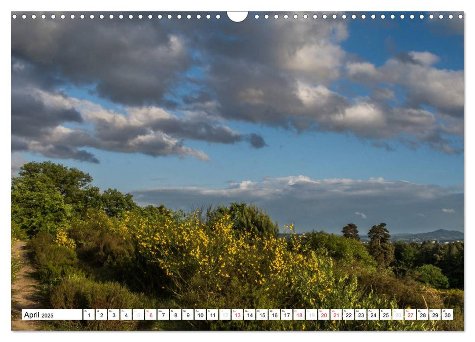 Die Wahner Heide - Landschaft und Weidetiere (CALVENDO Wandkalender 2025)