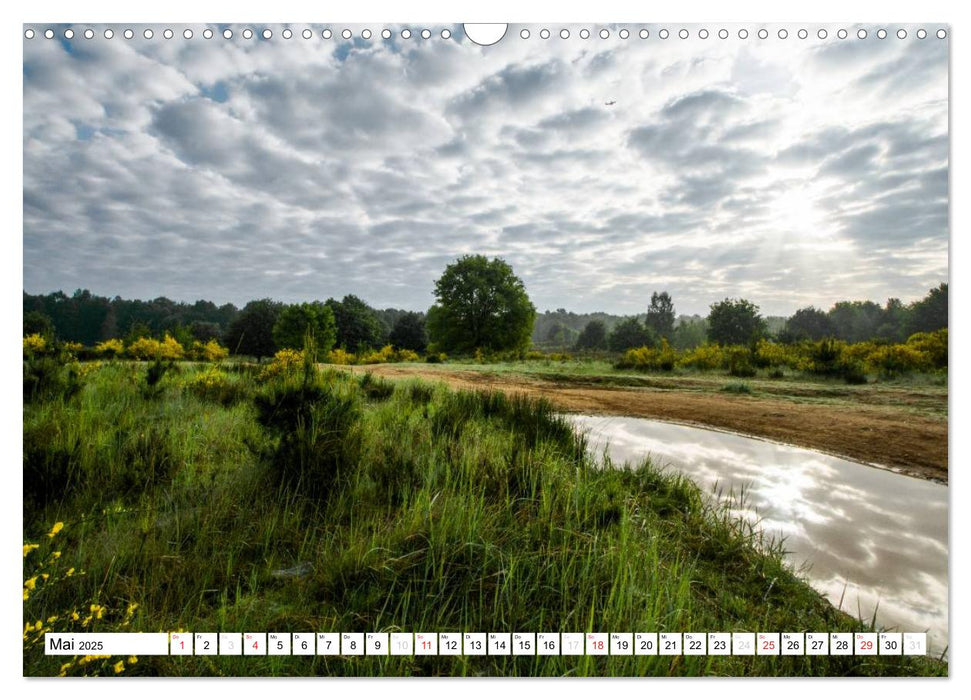 Die Wahner Heide - Landschaft und Weidetiere (CALVENDO Wandkalender 2025)