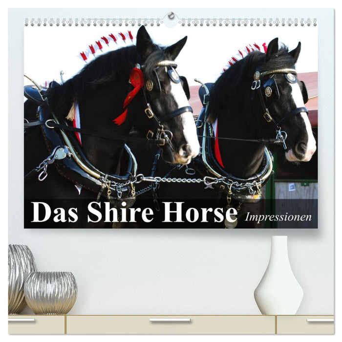 Das Shire Horse. Impressionen (CALVENDO Premium Wandkalender 2025)