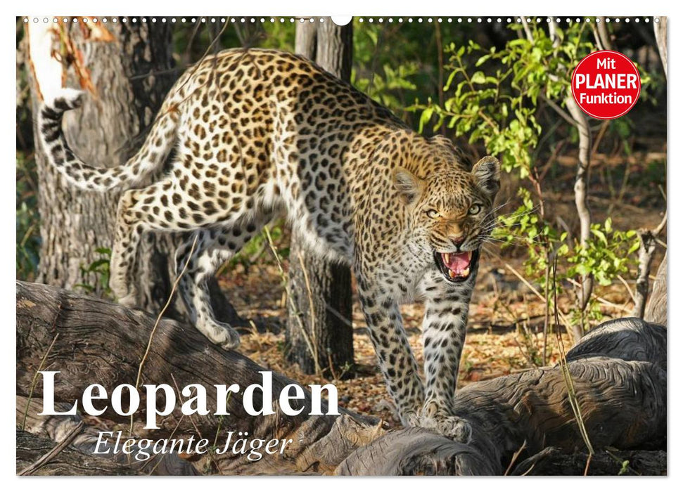 Leoparden. Elegante Jäger (CALVENDO Wandkalender 2025)