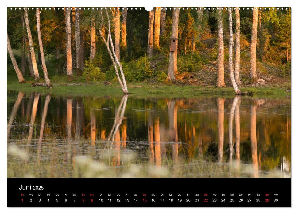 Schweden im Wechsel der Jahreszeiten (CALVENDO Premium Wandkalender 2025)