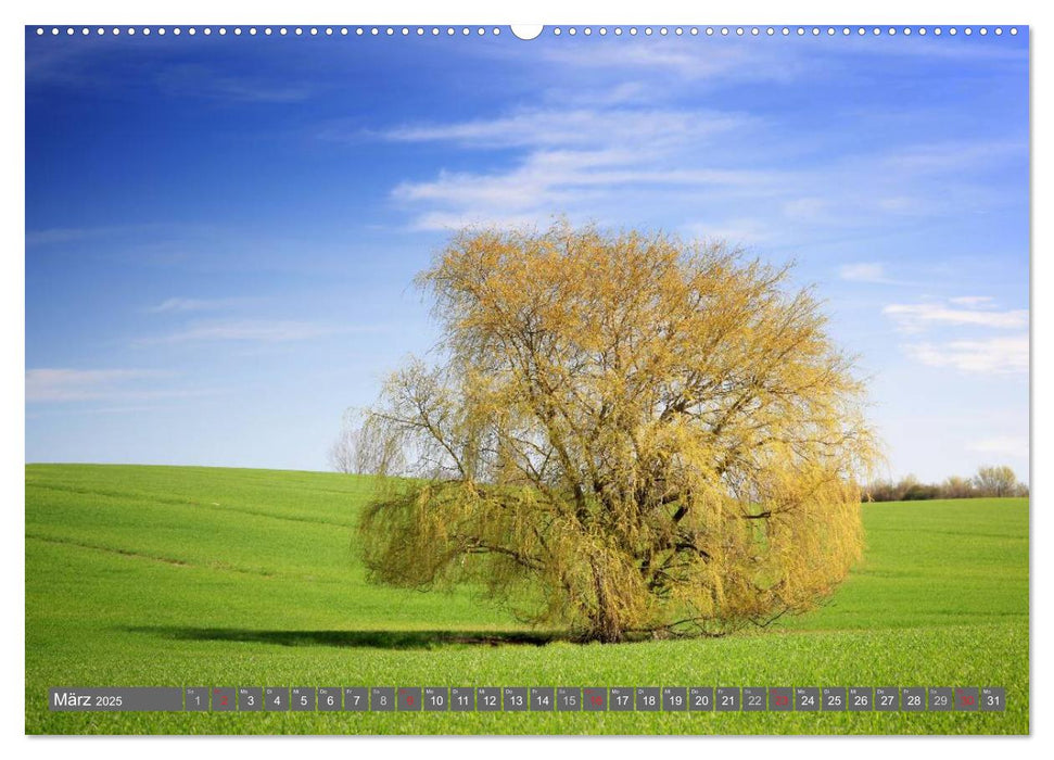 Deutschland - Ein Fotomärchen (CALVENDO Premium Wandkalender 2025)