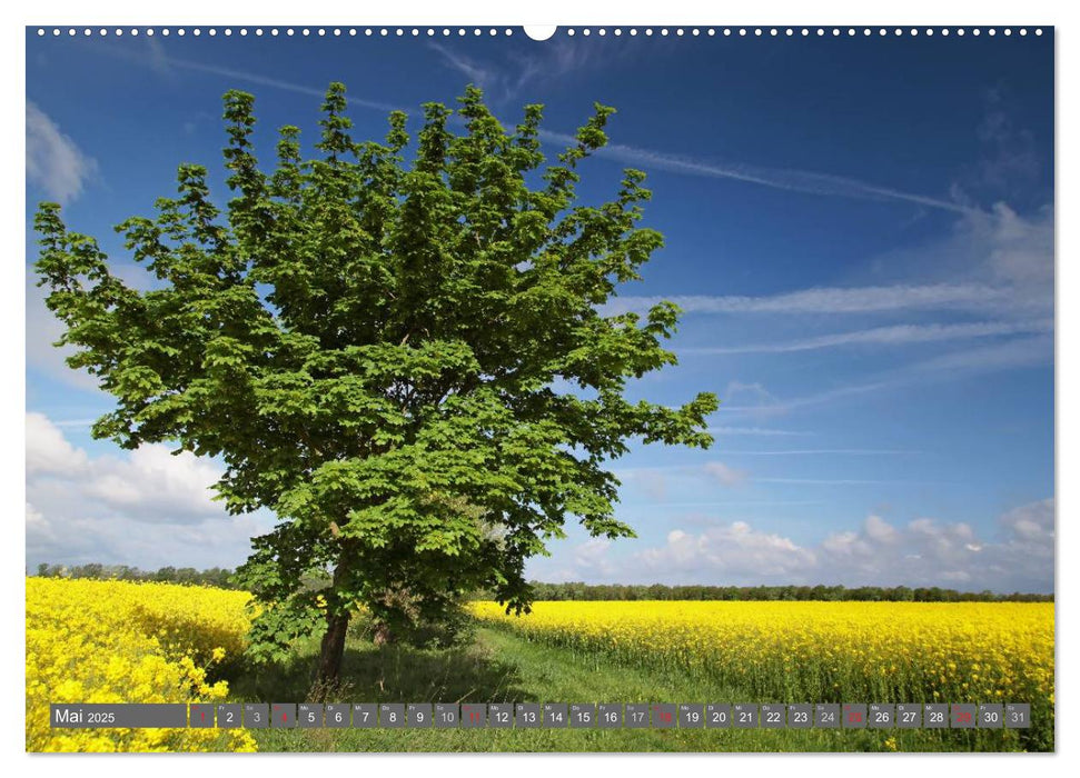 Deutschland - Ein Fotomärchen (CALVENDO Premium Wandkalender 2025)