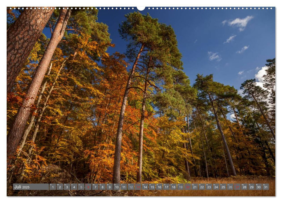 Deutschland - Ein Fotomärchen (CALVENDO Premium Wandkalender 2025)