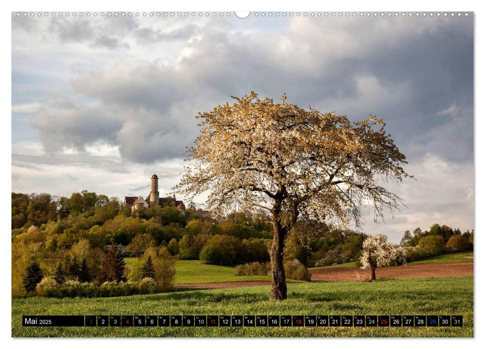 Bezauberndes Bamberg (CALVENDO Premium Wandkalender 2025)