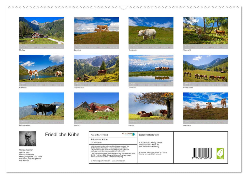 Friedliche Kühe (CALVENDO Premium Wandkalender 2025)