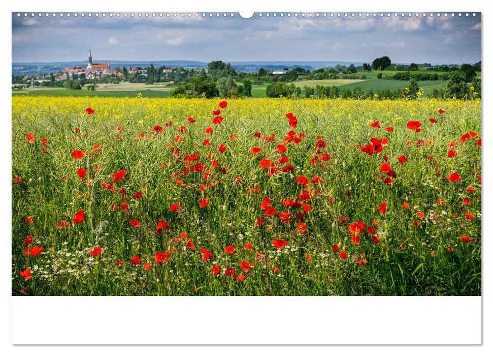 Schwabens Schönheit (CALVENDO Premium Wandkalender 2025)