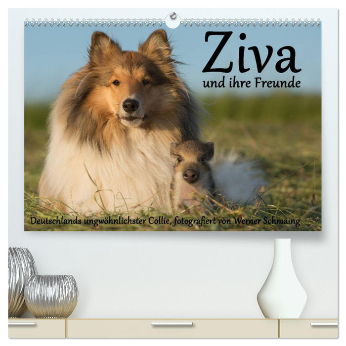 Ziva und ihre Freunde (CALVENDO Premium Wandkalender 2025)
