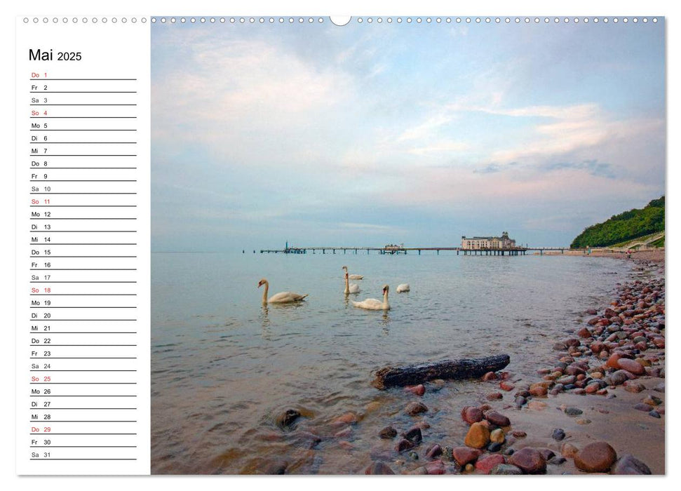 Urlaubsparadies Rügen (CALVENDO Premium Wandkalender 2025)