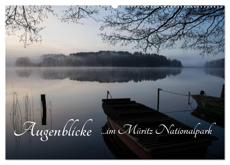 Augenblicke im Müritz Nationalpark (CALVENDO Wandkalender 2025)