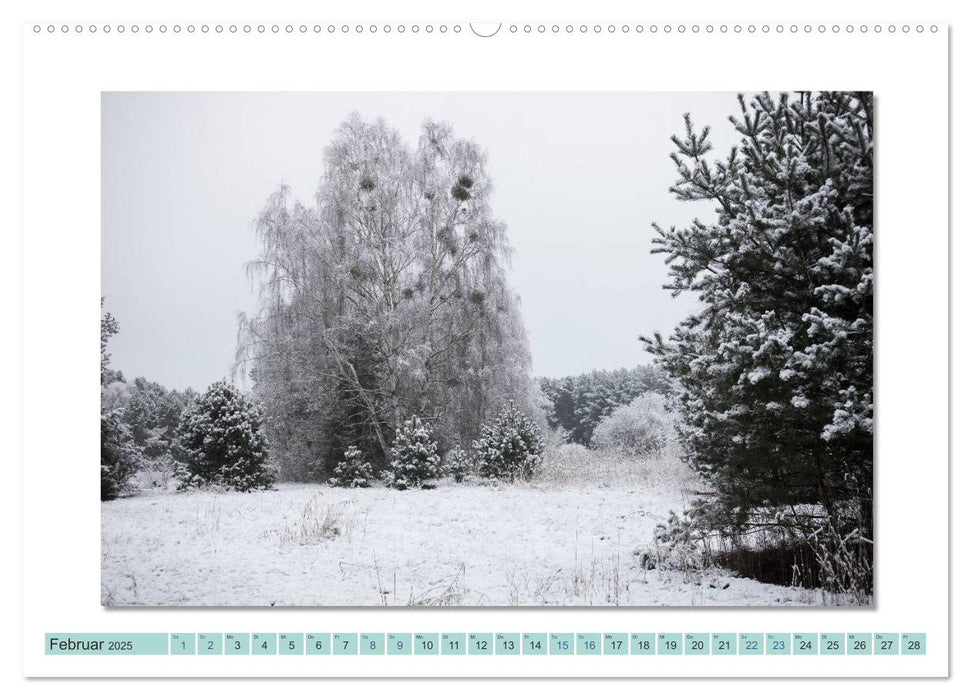 Augenblicke im Müritz Nationalpark (CALVENDO Wandkalender 2025)