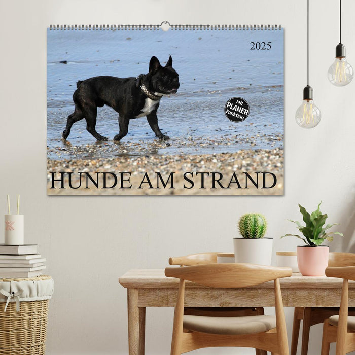 HUNDE AM STRAND (CALVENDO Wandkalender 2025)