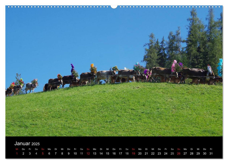 Almabtrieb in Tirol (CALVENDO Premium Wandkalender 2025)