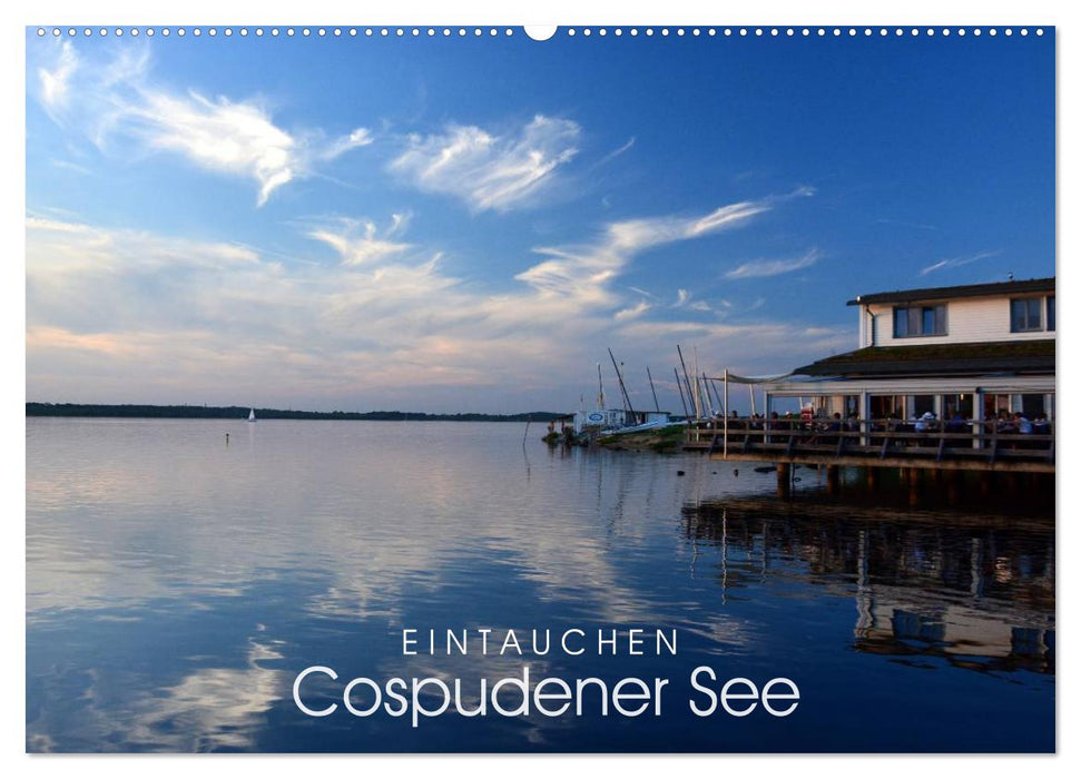 EINTAUCHEN - Cospudener See (CALVENDO Wandkalender 2025)