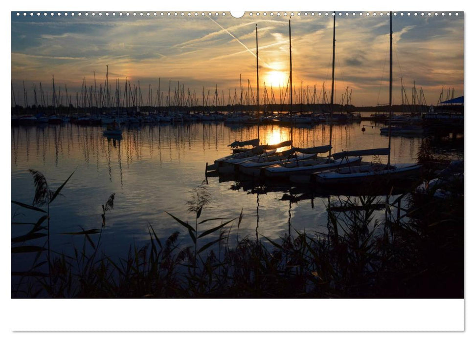 EINTAUCHEN - Cospudener See (CALVENDO Wandkalender 2025)