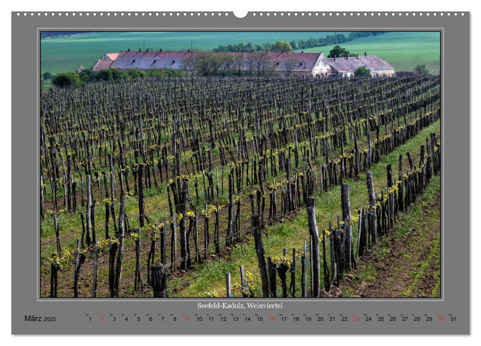 Strukturen im Weinbau (CALVENDO Premium Wandkalender 2025)