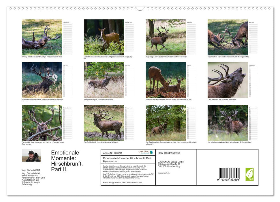 Emotionale Momente: Hirschbrunft. Part II. (CALVENDO Premium Wandkalender 2025)